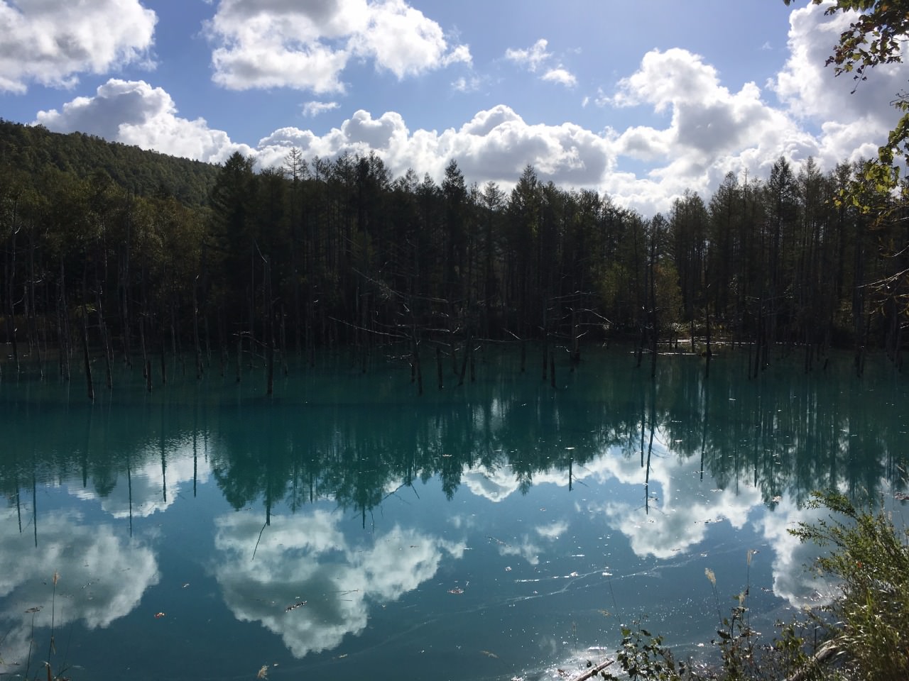 Mirror of Lake