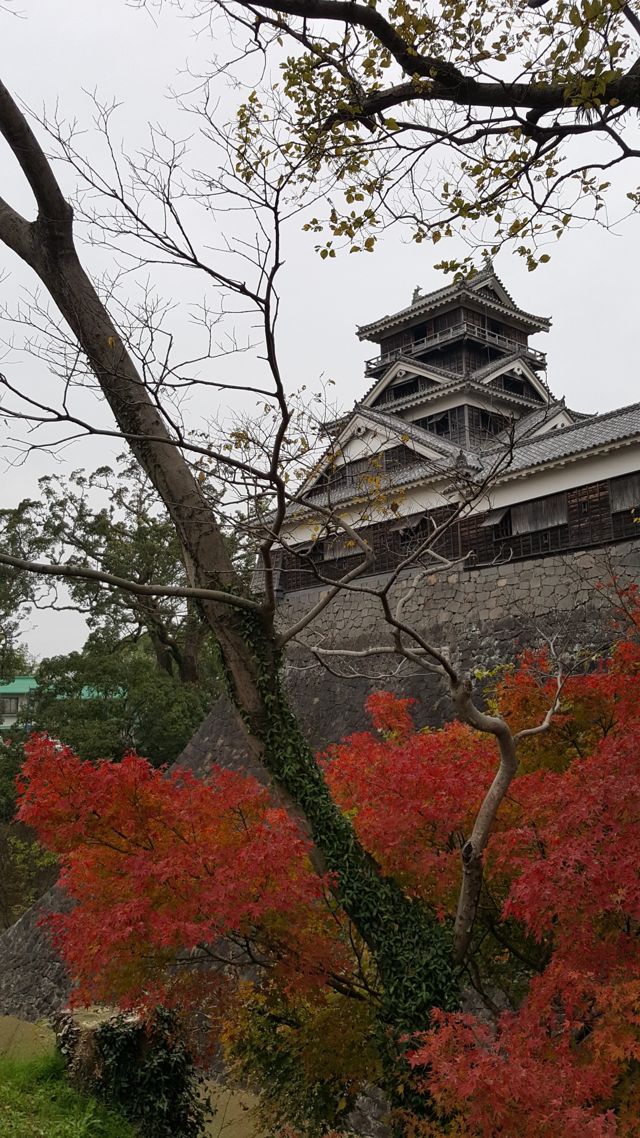 Kumamoto in Autumn…