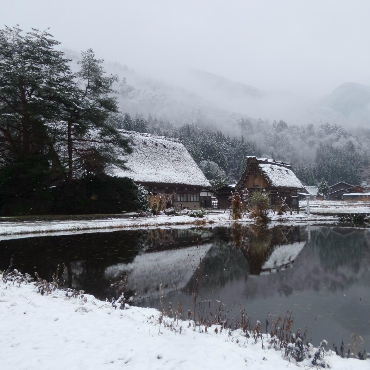 Winter wonderland of Japan