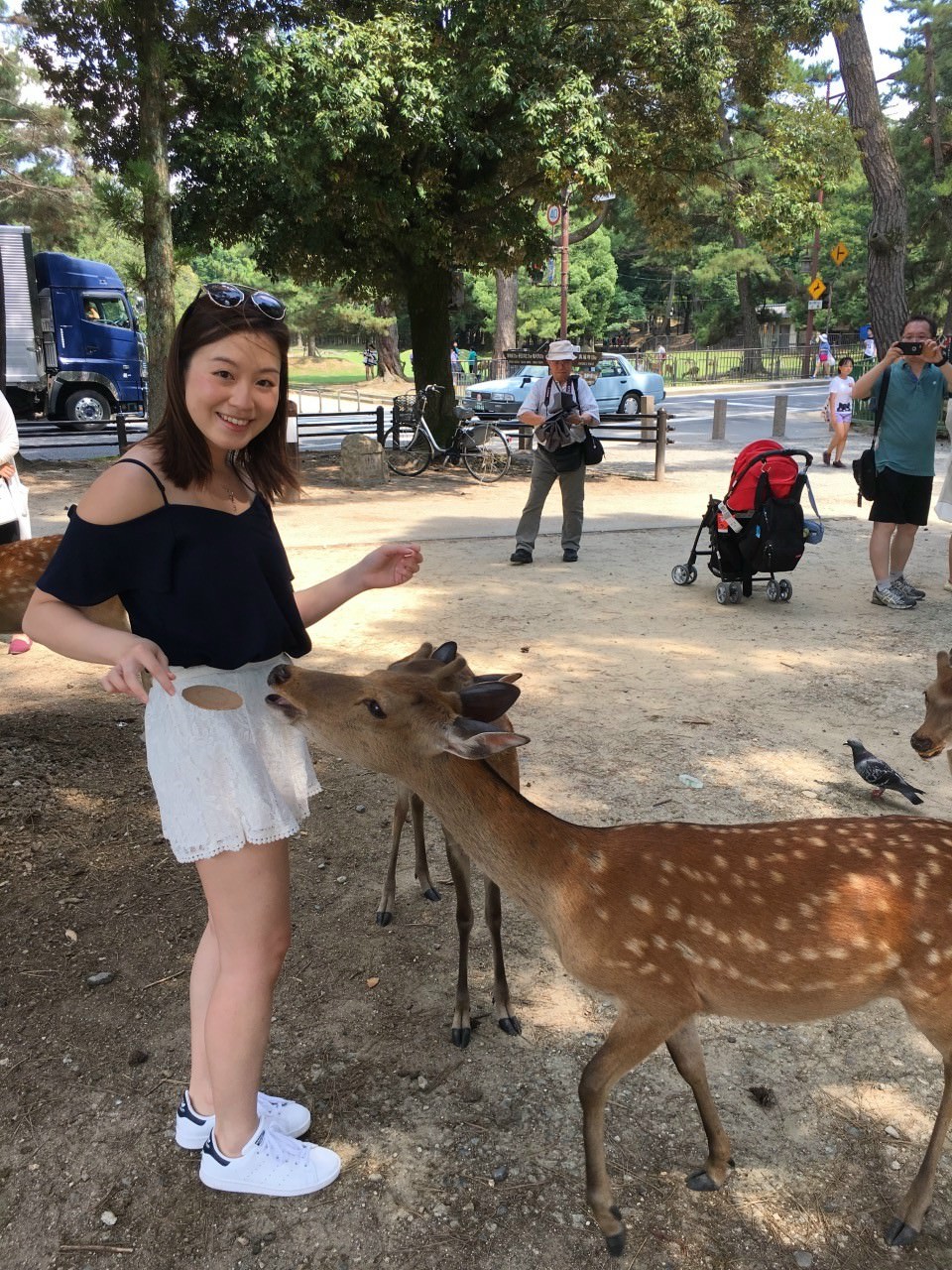 The deer was eager to eat our flying Senbei