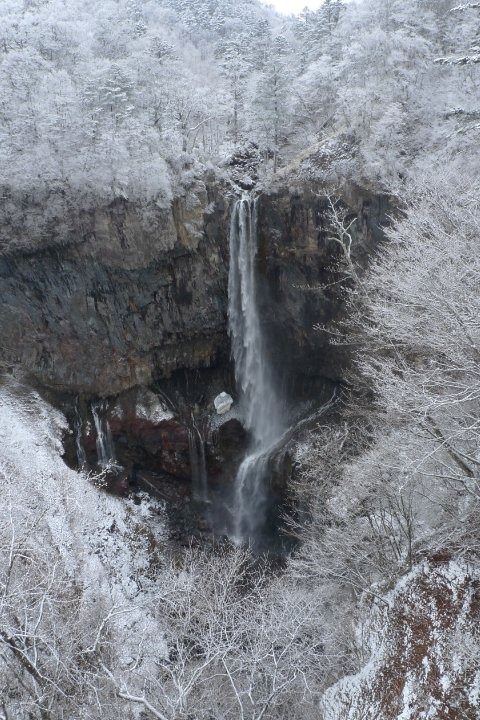 雖然處於冰雪之中, 但華嚴滝仍然氣勢磅礡, 如一條白龍從山中飛躍而下, 非常壯觀!!
