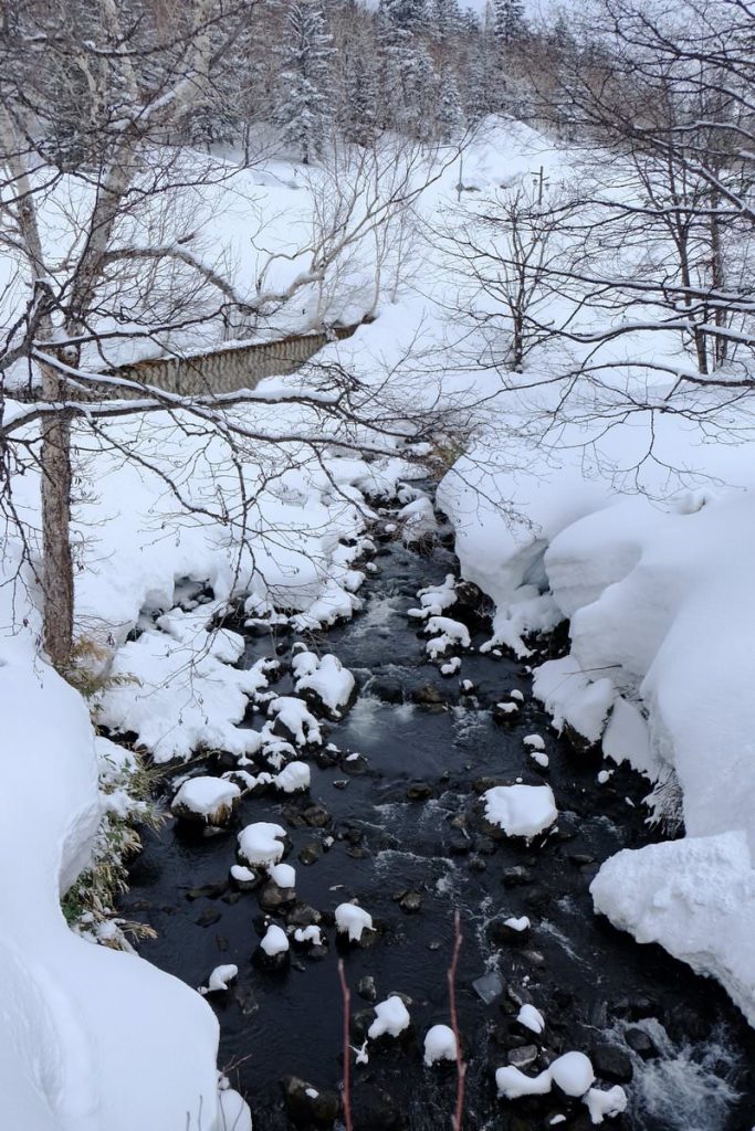 Snow blanket surrounding a stream.