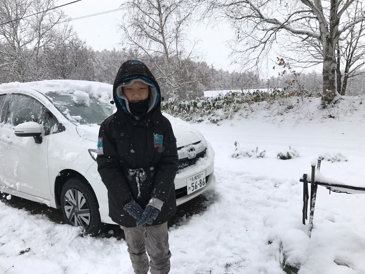 Self-driving tour  Enjoy the natural beauty of Hokkaido