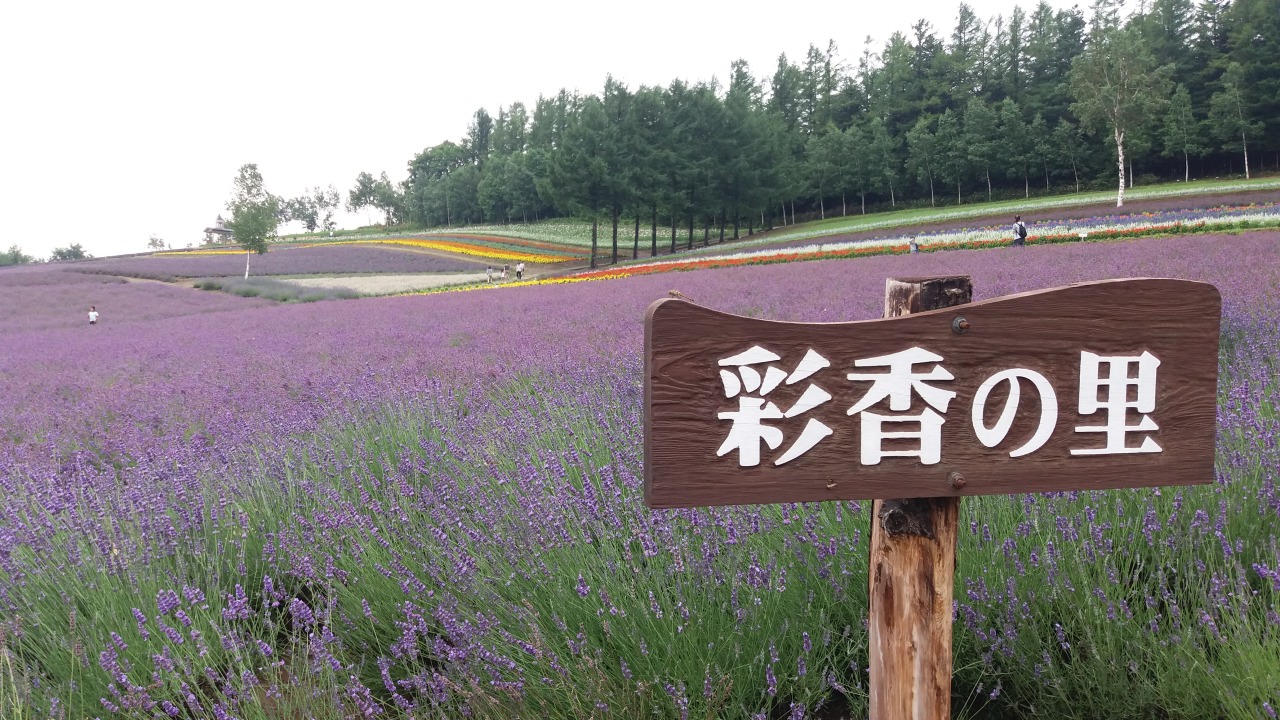 Saikanosato Sasaki farm