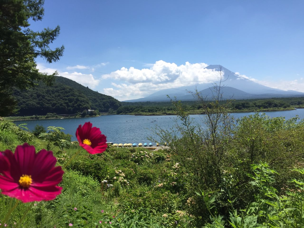 Lake Shoji
