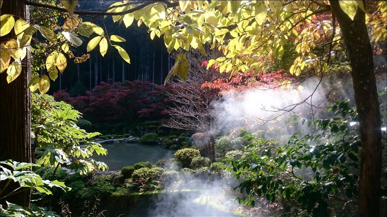 Autumn garden view of Myotsuji, Obama.