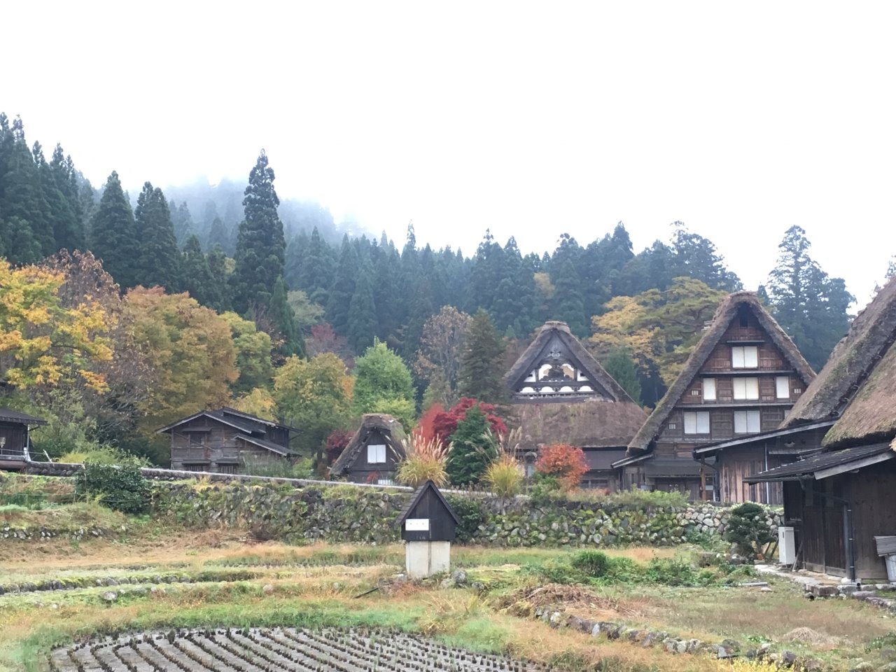 Shirakawa Village