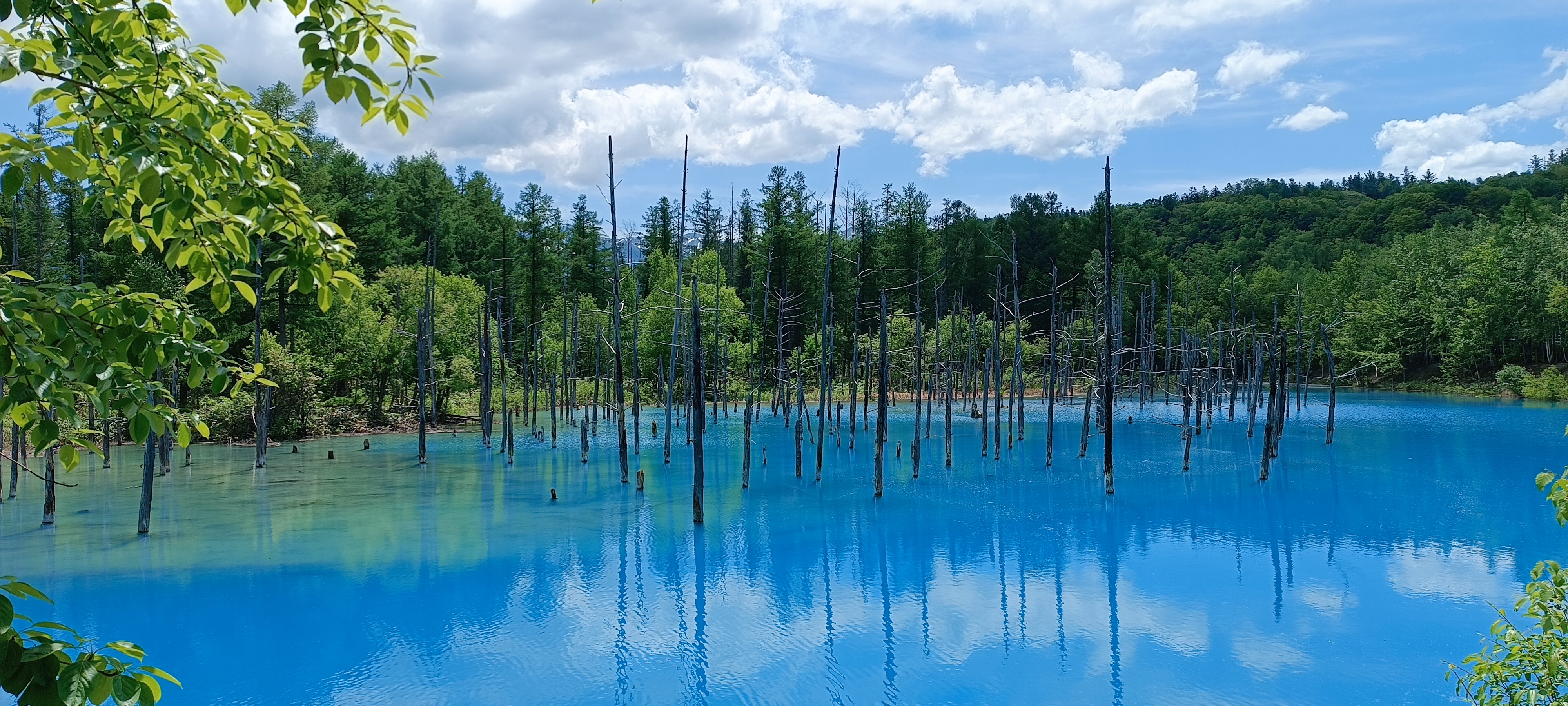 Blue pond-Biei