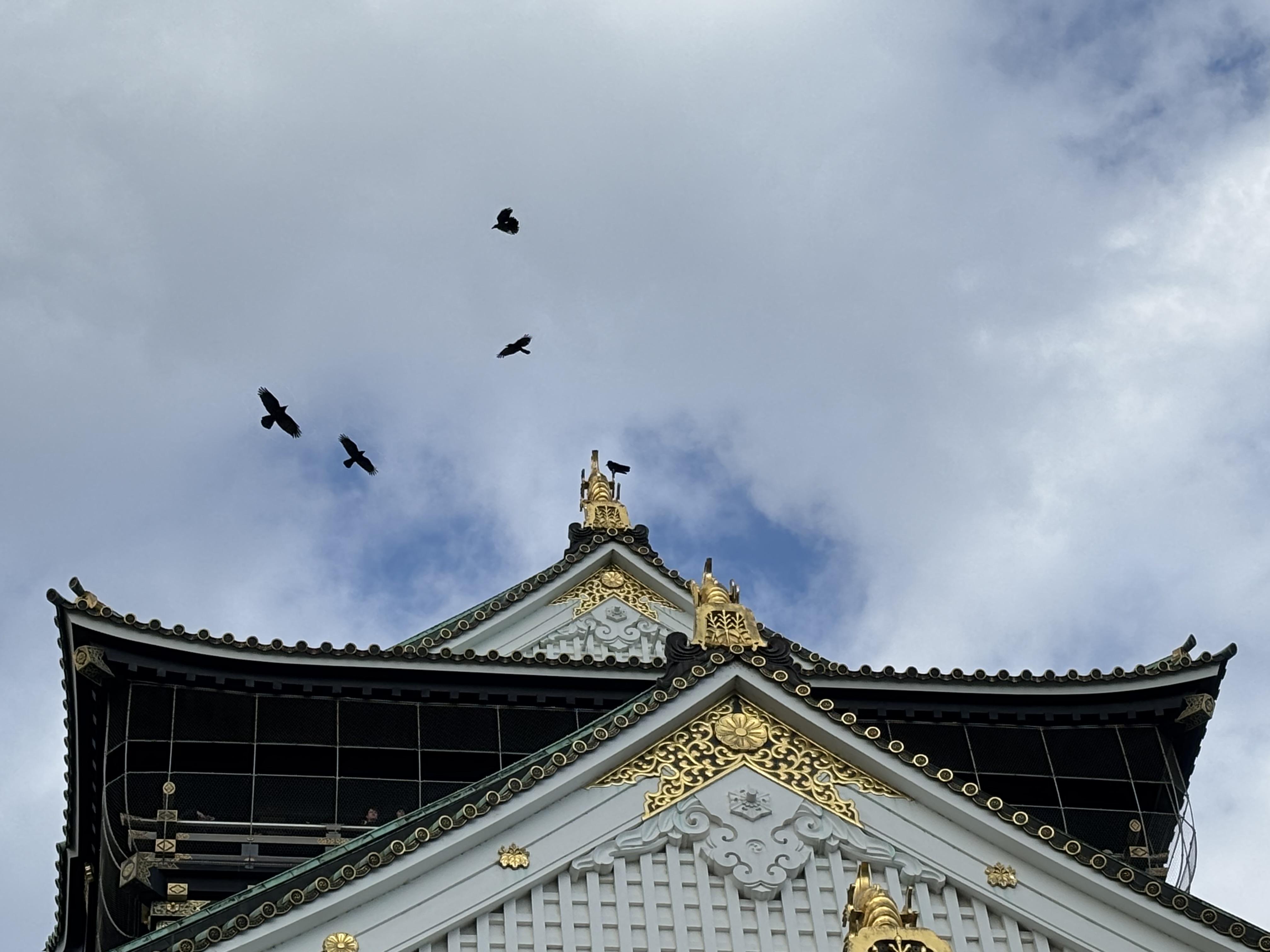 Osaka castle